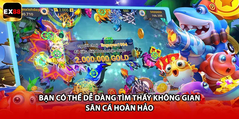 Bạn có thể dễ dàng tìm thấy không gian săn cá hoàn hảo 