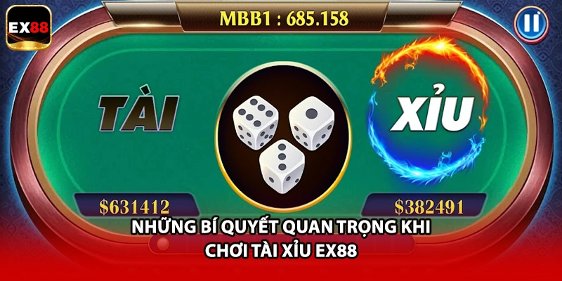 Những bí quyết quan trọng khi chơi tài xỉu EX88