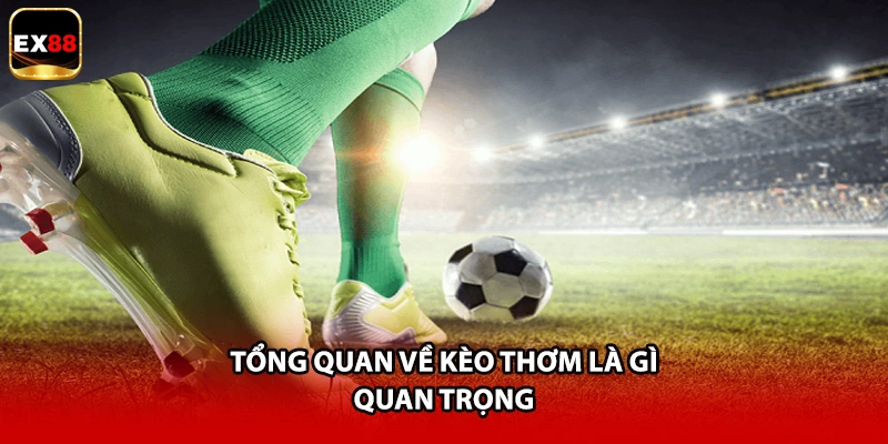 Tổng quan về kèo thơm là gì quan trọng