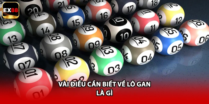 Vài điều cần biết về lô gan là gì
