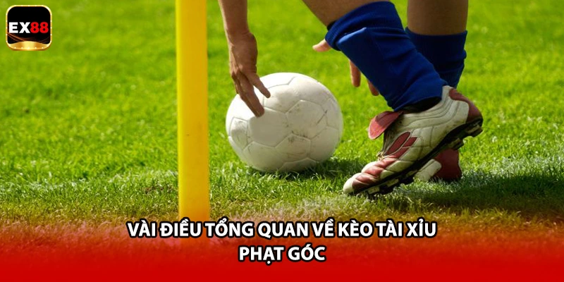 Vài điều tổng quan về kèo tài xỉu phạt góc