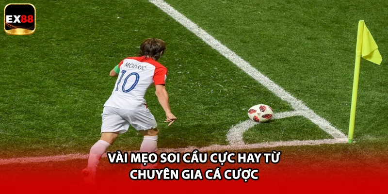Vài mẹo soi cầu cực hay từ chuyên gia cá cược